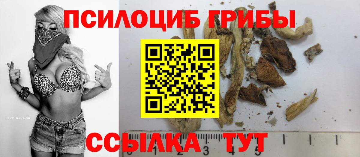 Киров  Псилоцибиновые грибы Magic Shrooms  Псилоцибиновые грибы GOLDEN TEACHER  Вход с VPN 